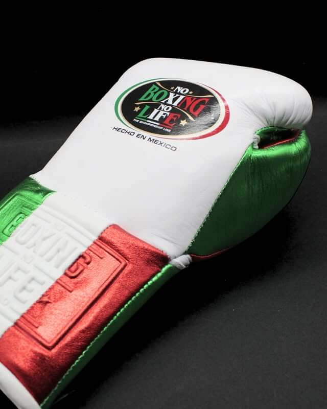No Boxing No Life White/Green/Orange Boxing Gloves 14oz Premium Training Gloves