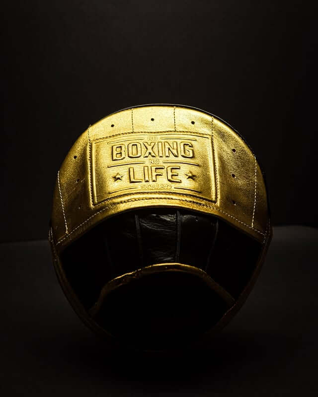No Boxing No Life Punching Mitts Black/Gold Training