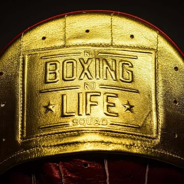 No Boxing No Life Punching Mitts Maroon/Gold Leather Focus Mitts Front View