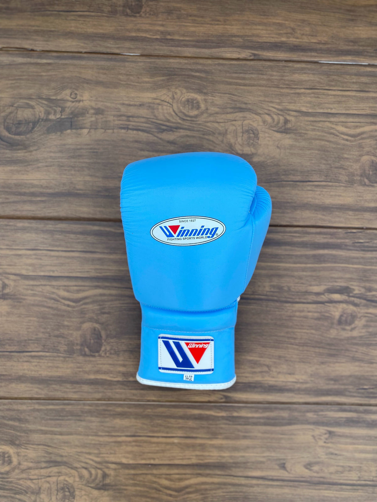 Winning Sky-Blue Boxing Set Fitness Training Gloves close view