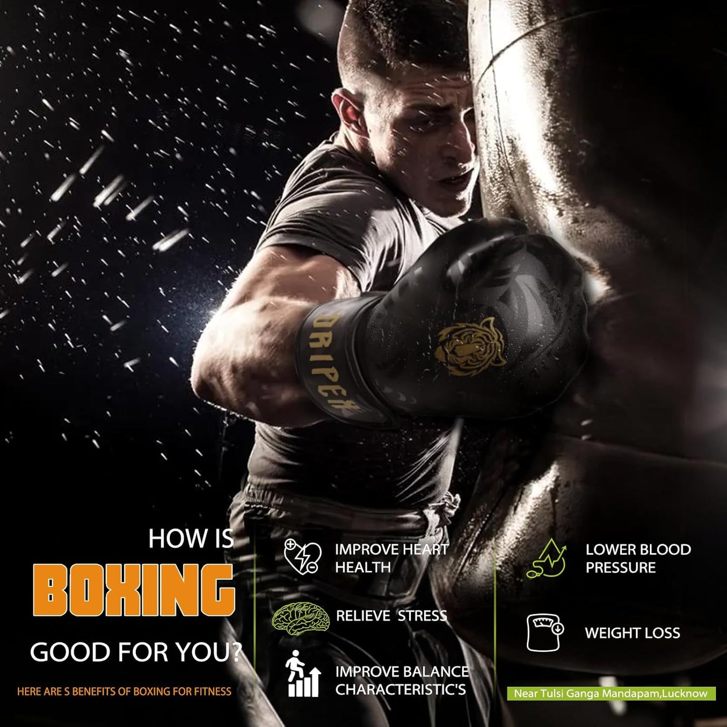 Dripex Boxing Gloves for Men Women Youth, Boxing Training Gloves | for Heavy Bag Workout, Muay Thai, Kickboxing, Sparring Punching（8 10 12 14 16oz）