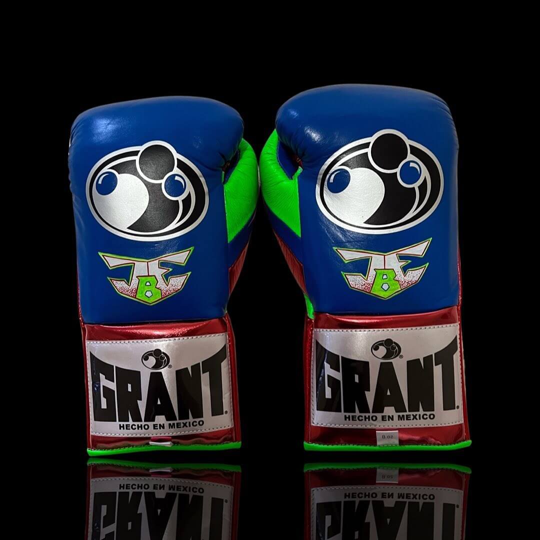 Grant Blue/Red/Green Boxing Gloves Premium Gym Training Pair Back View