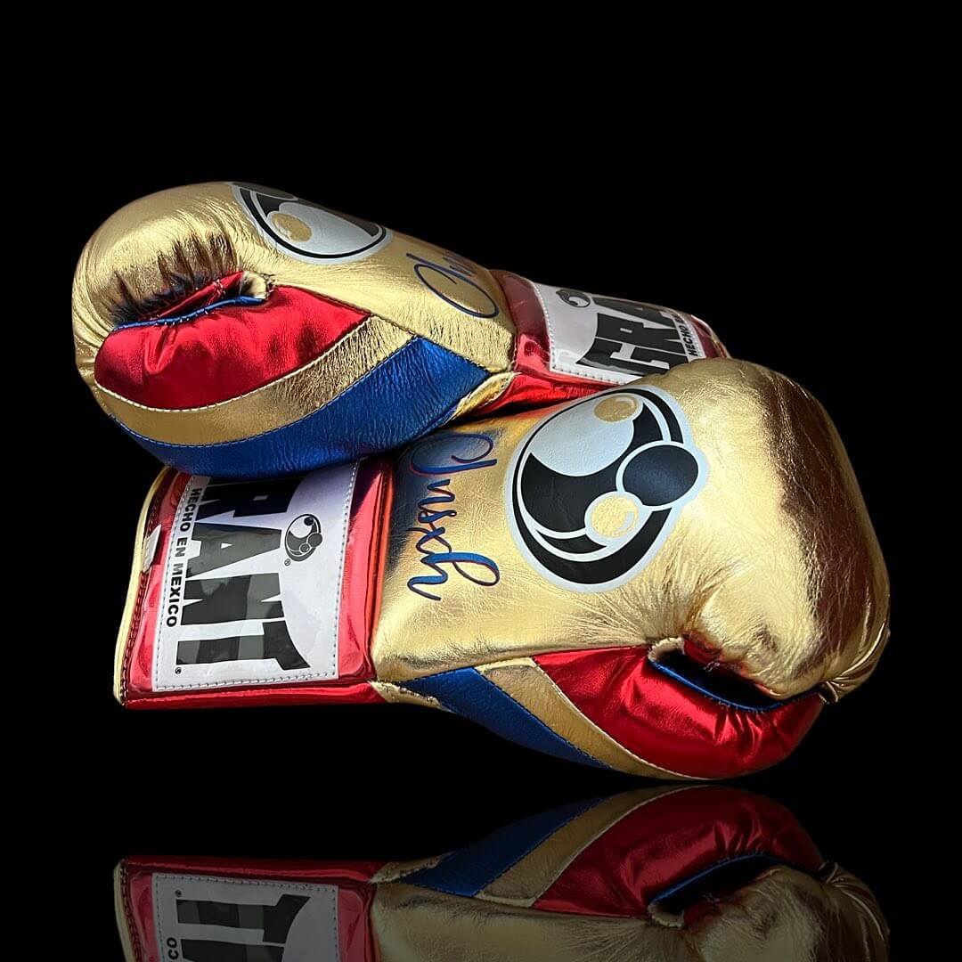 Grant Gold/Blue/Red Leather Boxing Gloves Heavy Duty Training Pair Thumb View