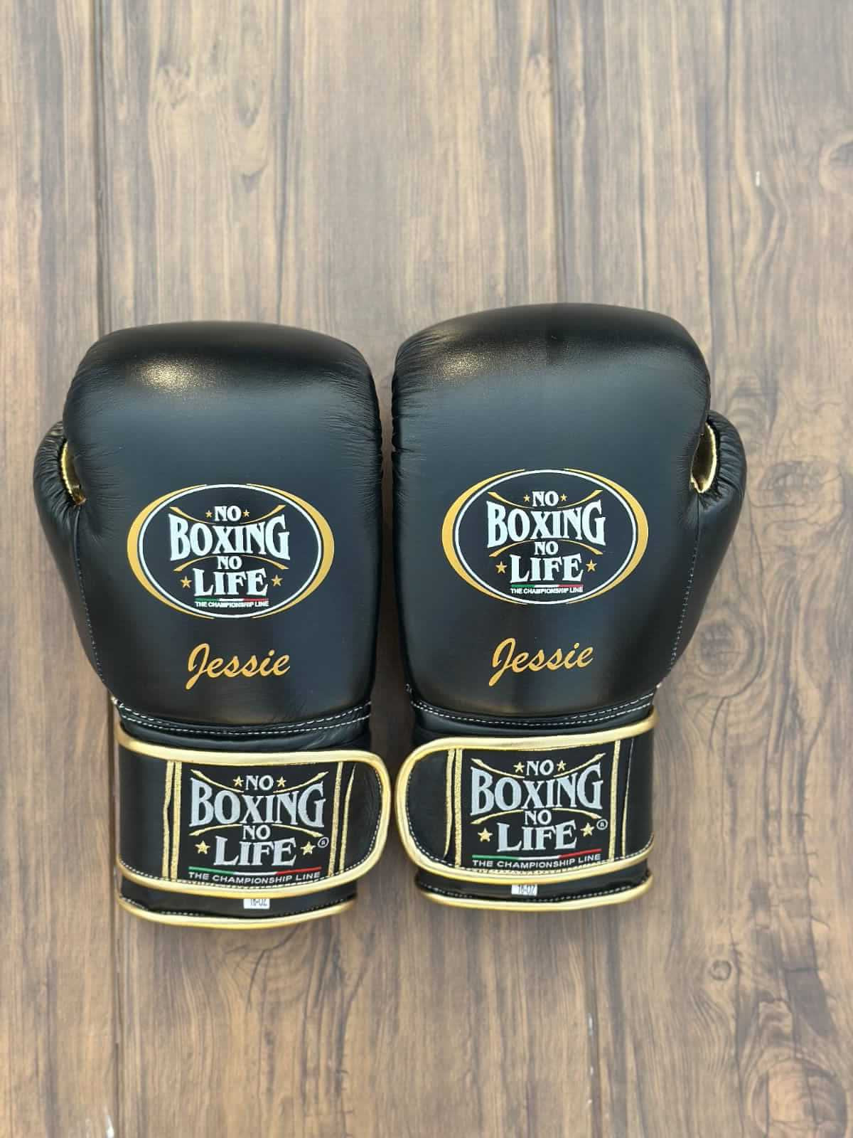 No Boxing No Life Black/Gold Boxing Gloves 14oz Premium Training Gloves Back View