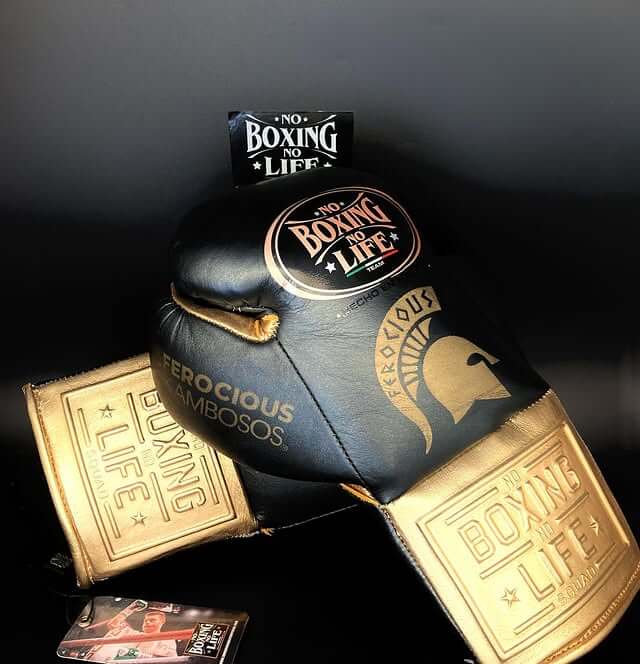 No Boxing No Life Black/Gold Boxing Gloves Custom Fit Gym Training