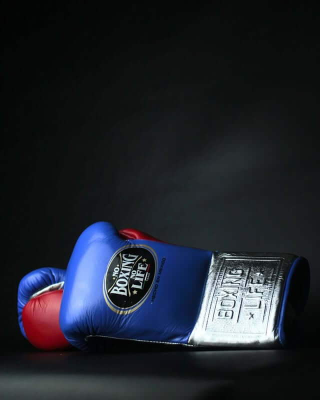No Boxing No Life Blue/Silver/Red Leather Boxing Gloves Heavy Duty Training Pair