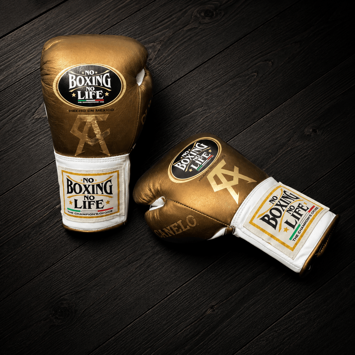 No Boxing No Life Gloves Brown/Silver Leather Gloves Back View