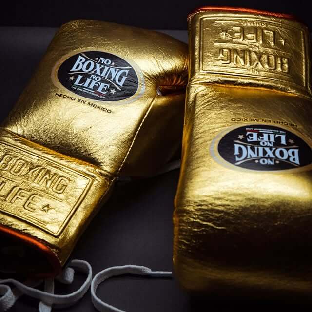 No Boxing No Life Gold/Red Lace-Up Boxing Gloves Classic Training Gloves Close View