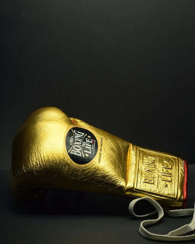 No Boxing No Life Gold/Red Lace-Up Boxing Gloves Classic Training Gloves