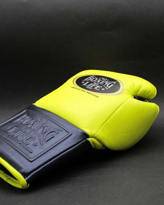 No Boxing No Life Parrot/Grey Boxing Gloves Sparring Training Gloves Back View