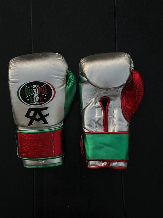 No Boxing No Life Gloves Silver/Red/Green Leather Training Gloves Front View
