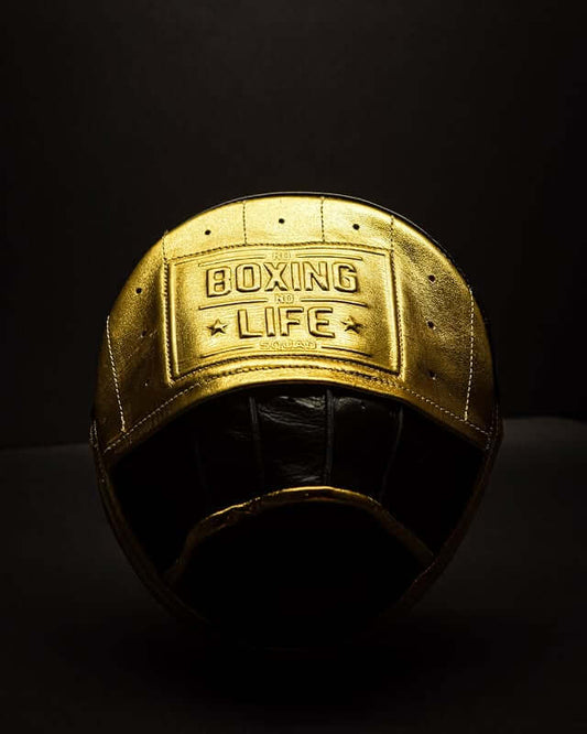 No Boxing No Life Punching Mitts Black/Gold Training
