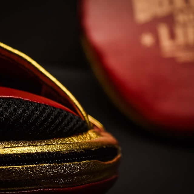No Boxing No Life Punching Mitts Maroon/Gold Leather Focus Mitts Close View