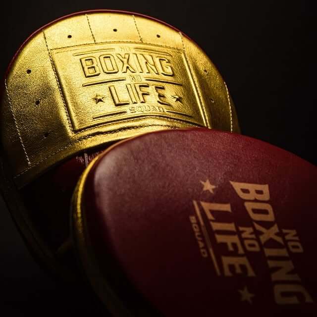 No Boxing No Life Punching Mitts Maroon/Gold Leather Focus Mitts for Heavy Bag