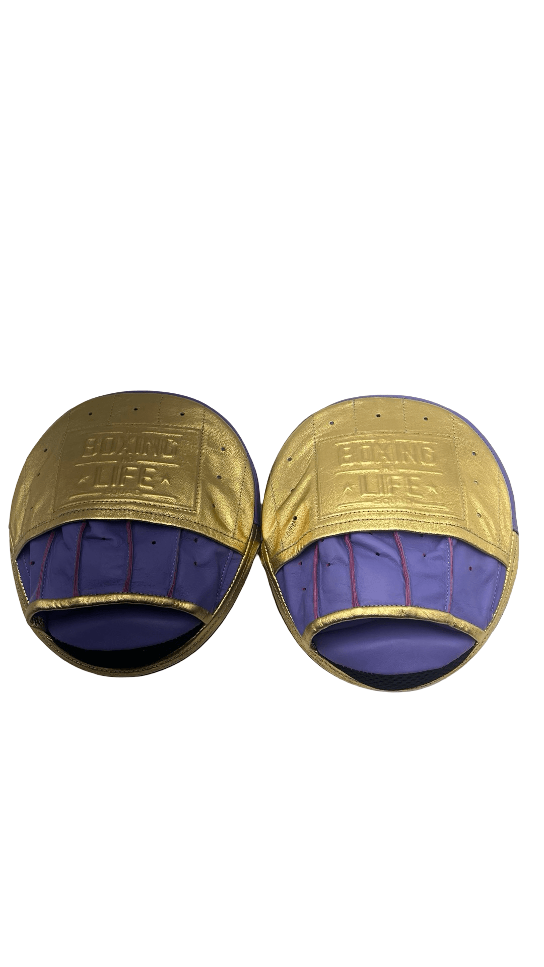 No Boxing No Life Punching Mitts Purple/Gold Leather Mitts Front View