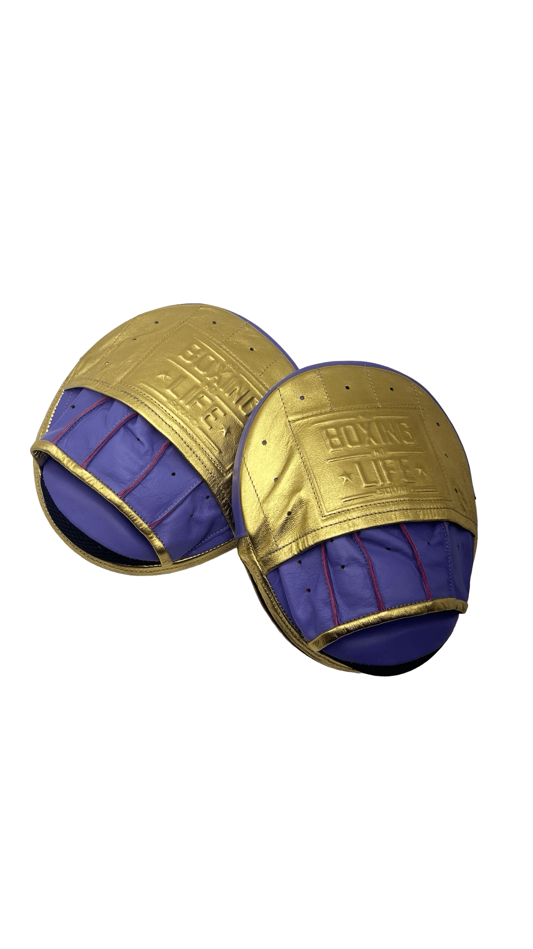 No Boxing No Life Punching Mitts Purple/Gold Leather Mitts for MMA Training