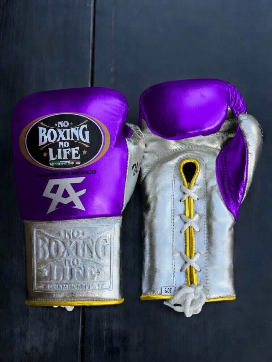 No Boxing No Life Purple/Silver/Gold Boxing Gloves Premium Quality Training