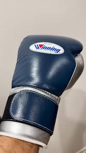 Winning Dark-Blue/Silver Leather Boxing Gloves Close View