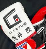 Winning White/Black/Red Leather Boxing Gloves Close Up