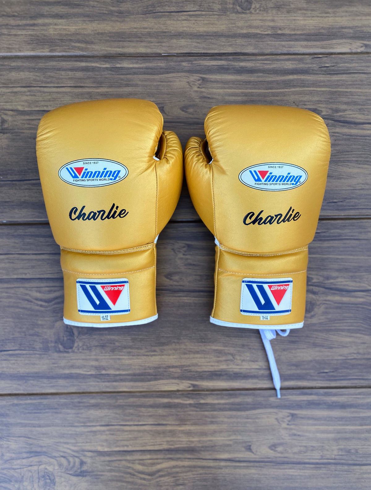 Winning Full Gear Boxing Set Gold 14oz Gloves Back View