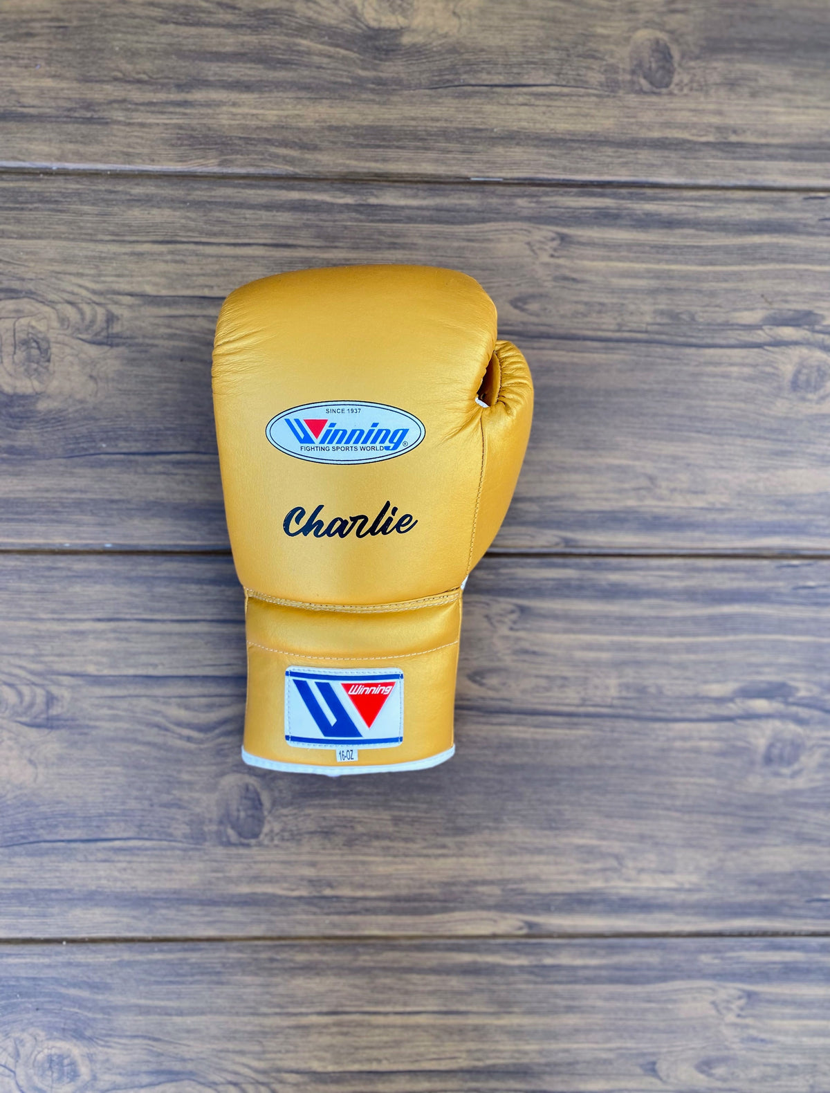 Winning Full Gear Boxing Set Gold 14oz Gloves Close View
