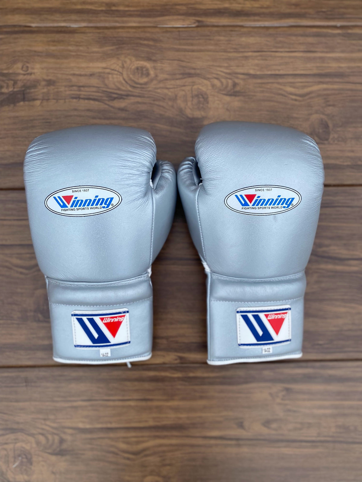 Winning Silver Full Boxing Set Gloves Back View