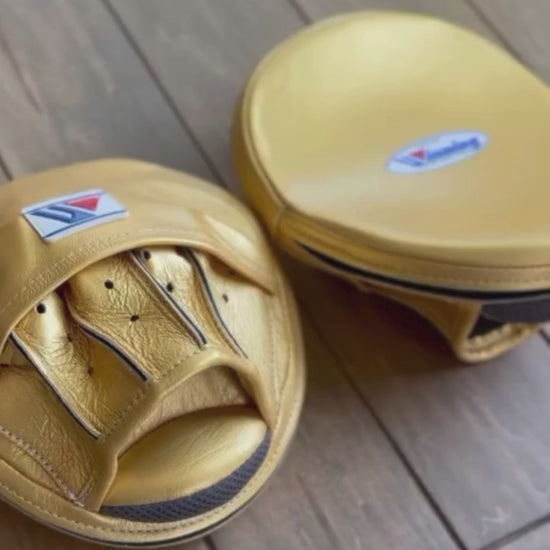 Winning Boxing Mitts Gold Video