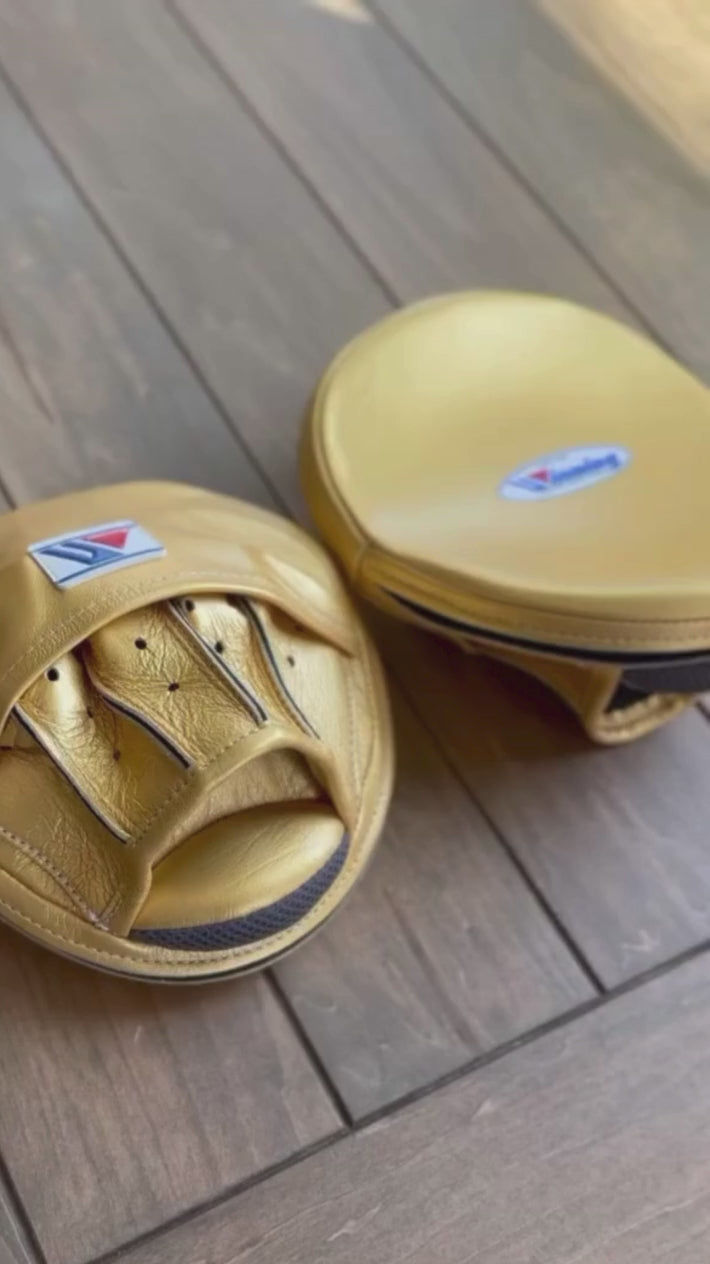 Winning Boxing Mitts Gold Video