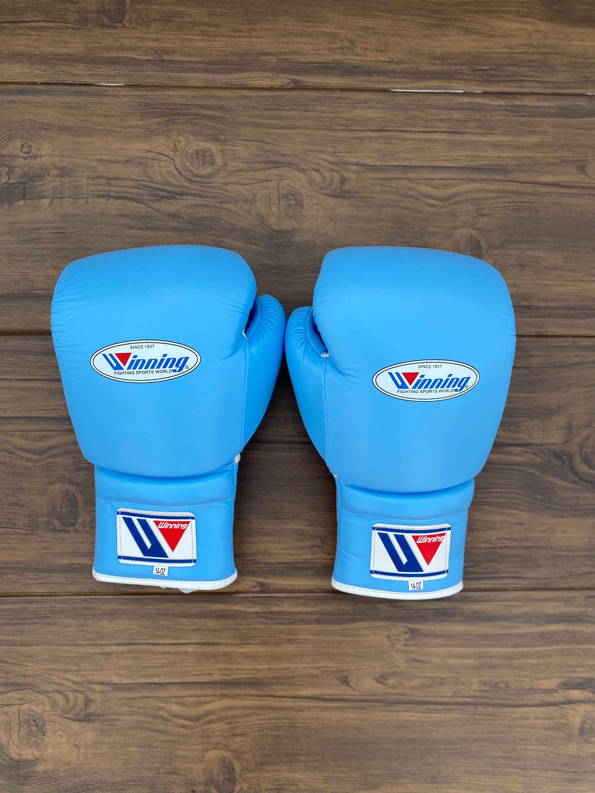 Winning Sky-Blue Boxing Set Fitness Training Gloves Back View